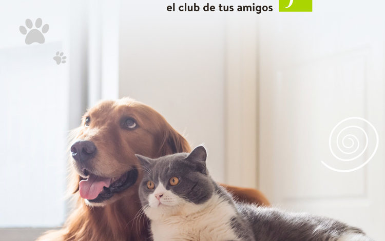  Falabella presenta Club Mascotas F