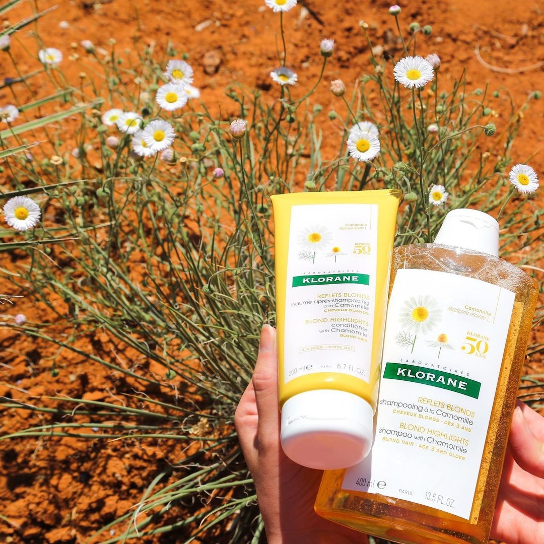 Champú de manzanilla aclara tu cabello Más allá del Rosa