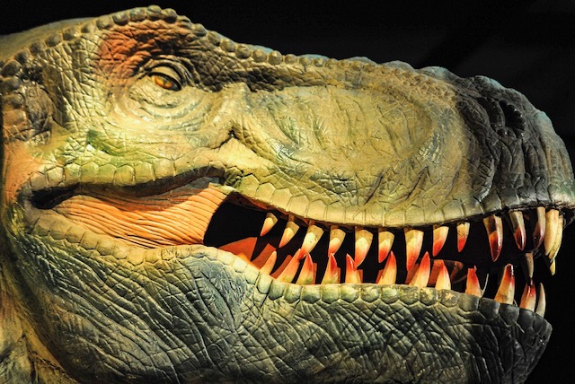  Dinosaurios Recargados