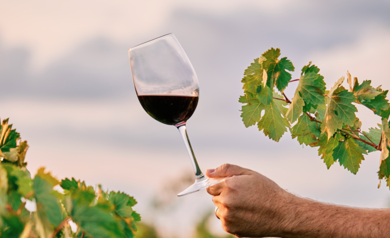  Pasión y herencia vitivinícola