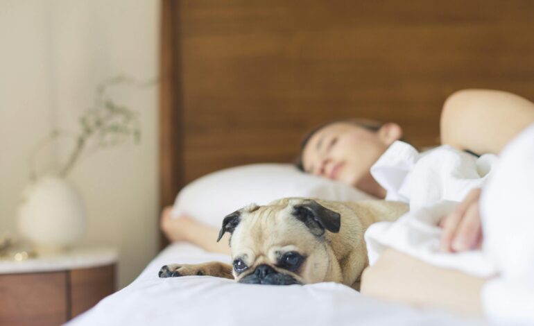  ¿Es bueno dormir con tu mascota?