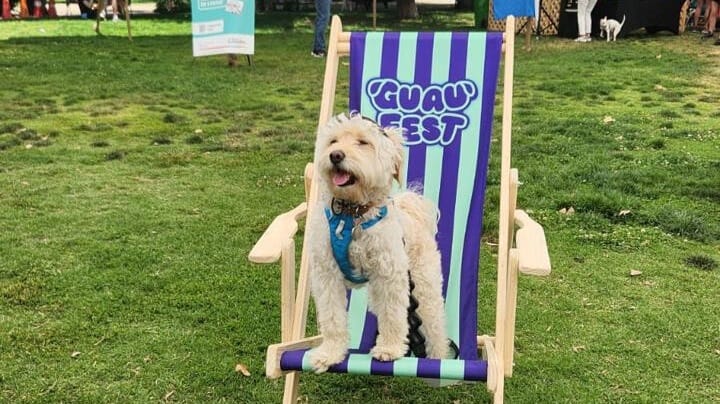  Por fuerza mayor: Reprogramación GuauFest