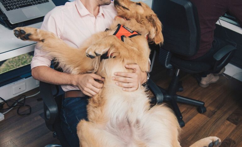  Mascotas en el trabajo: Su importancia más allá de la fecha